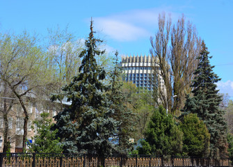 Almaty city streets in spring