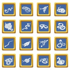Snake icons set vector blue square isolated on white background 