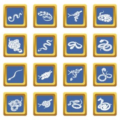 Snake icons set vector blue square isolated on white background 