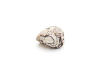 Obraz premium Zebra jasper mineral on the white background
