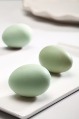 eggs