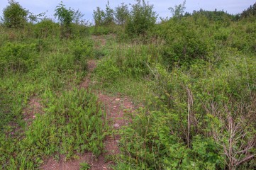 Beaver Bay is a small Community on the North Shore of Lake Superior in northeast Minnesota