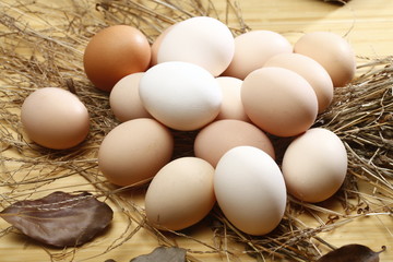 eggs