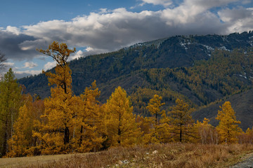 Russia. Late autumn in the Altai Mountains