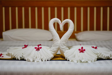 Fototapeta na wymiar Modern bedroom interior setup on white blanket and wooden bed for honeymoon on the bed.
