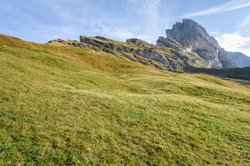 Idyllic landscape in the Alps with fresh green meadows