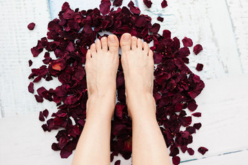 Legs in rose petals