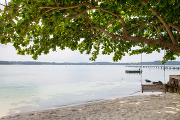 Wooden swing on the beach