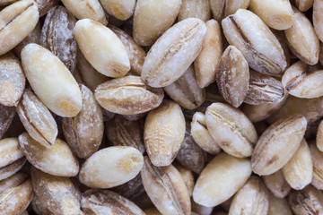 Перловая крупа крупным планом