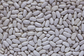 Белая фасоль сплошным слоем