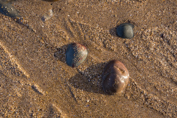 Fototapeta na wymiar Pebbles in the wet sand on the beach