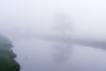 Obraz na płótnie Canvas Misty morning Towy Valley Carmarthenshire Wales