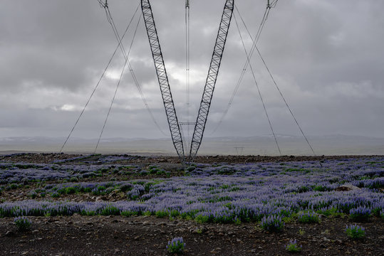 Electricity pylon amidst plants on field against sky, Highlands, Iceland