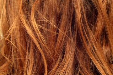 Fototapeta premium Red woman's hair on wind.