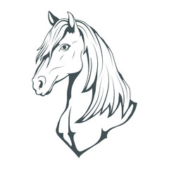 Naklejka na ściany i meble Horse. Hand drawn horse. Sketch of horse head. Vector artwork.