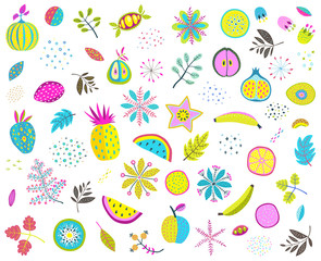 Set of colorful floral fruits nuts veggies and leaves. Vector illustration.