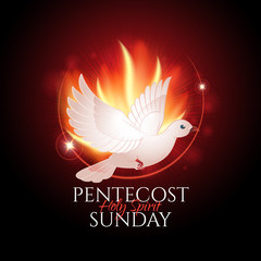 Greeting card or banner to Pentecost Sunday with flame and holy spirit dove. Catholics and Christians Religious culture holiday.  Perfect to use in advertising or web design and others projects