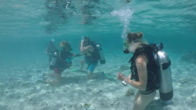 Scuba dive course in Rarotonga, Cook Islands. Real people. Copy space