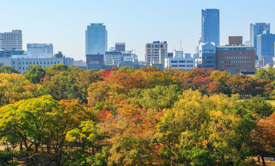 Obraz premium Widok z lotu ptaka na panoramę miasta Osaka w jesieni w Osace w Japonii
