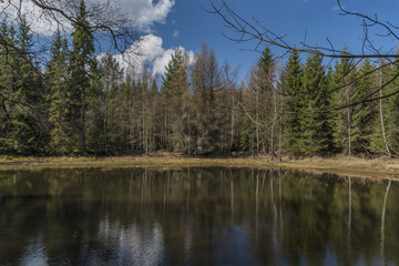 Obraz premium Pond in forest near Karlovy Vary spa