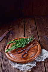 Rosmarin (Rosmarinus officinalis)