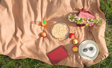 Plaid, a book, apples, juice and a basket with baguette, under a warm sun, in blossoming spring gardens. The concept of a picnic, summer and rest. View from above