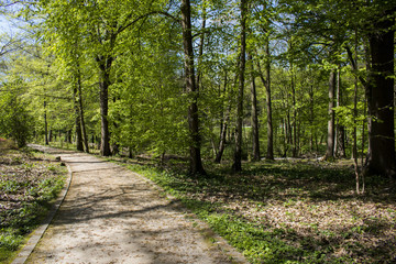 Path trough Romberg Park in Brünninghausen that is part of the European Garden Heritage Network