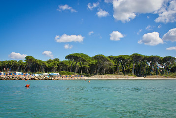 Beautiful panoramic view over beach of Elba island in Italy.
