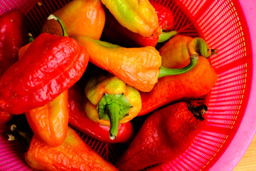 Hot spicy peppers in busket