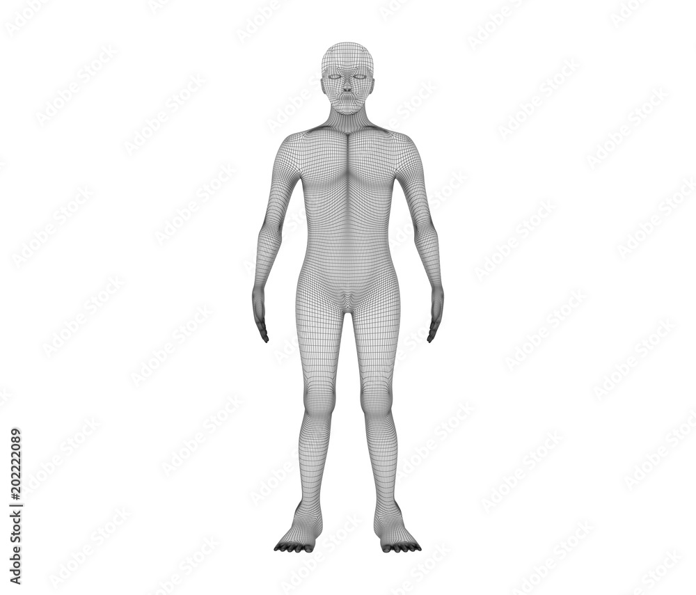 Aufkleber human front view. wireframe model with lines on white background, artificial intelligence in futuris