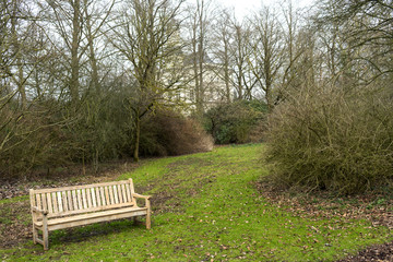 wooden bench in a beautiful park with a castle in the background