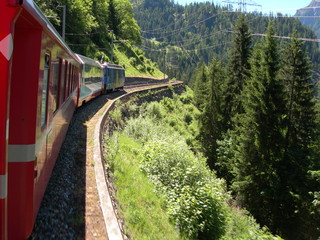 View from the Bernina Express train, Swiss