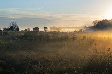 Naklejka na ściany i meble A colorful fairy sunrise over a misty meadow and forest in summer