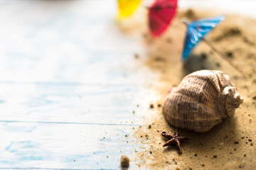 Beach summer background. Umbrellas on a pacifier on a wooden background with a shell