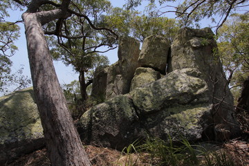 Landscape on Magnetic Island in Australia
