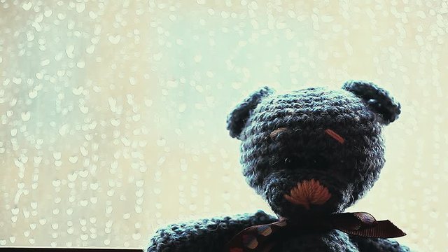 Wool Bear Rain Drops Window
