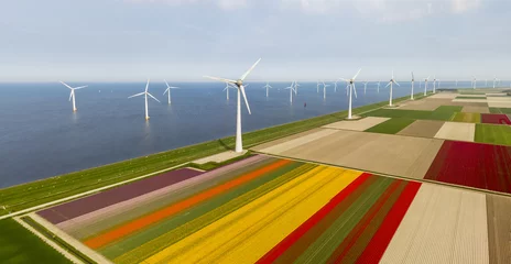 Foto op Aluminium Aerial view of tulip fields and wind turbines in the Noordoostpolder municipality, Flevoland © Iurii