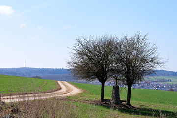 Flurkreuz neben Feldweg