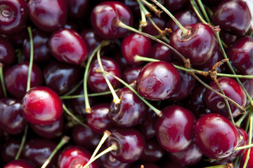 Ripe cherry close-up. Macro photography cherries. Sweet cherries as a background/ full frame.