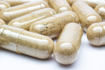 Herbal Drug. Close up Herbal medicine in clear capsule.