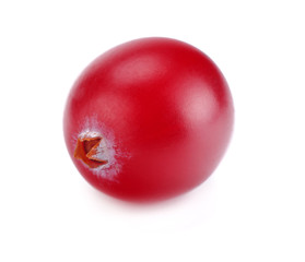 One cranberry isolated on white background. macro