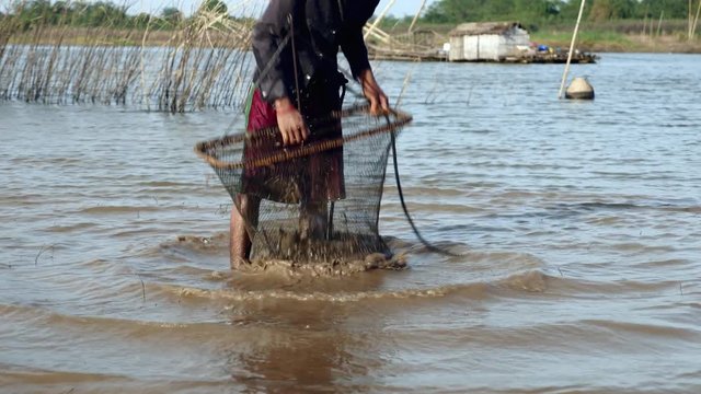 Clammer is shaking a clam net in the water for removing sand ( close up )