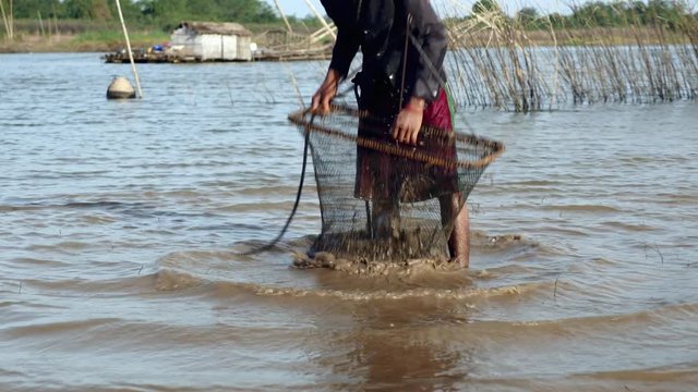 Clammer is shaking a clam net in the water for removing sand ( close up )