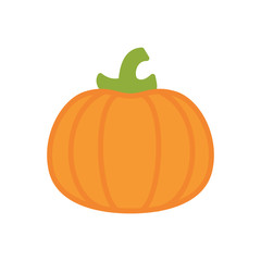 Pumpkin vegetable flat icon vector