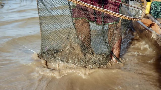 Clammer is shaking a clam net in water for removing sand and  aquatic plants  ( extreme close up )