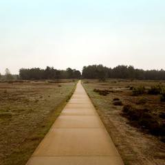 Fototapeta premium Empty road to nowhere