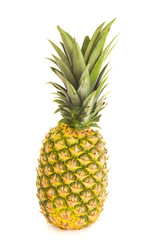 One freh isolated pineapple