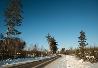 Obraz premium Winter road near the pines