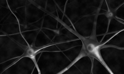 Neurons in the brain. Neurons abstract gray background