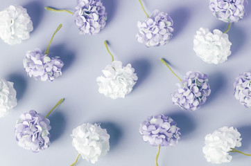 Blue and white Hydrangea flowers pattern on blue background